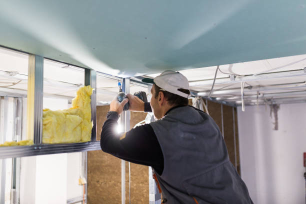 Best Residential Insulation in Walnut Cove, NC
