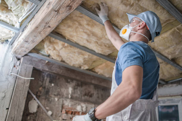 Best Insulation Maintenance and Repair in Walnut Cove, NC